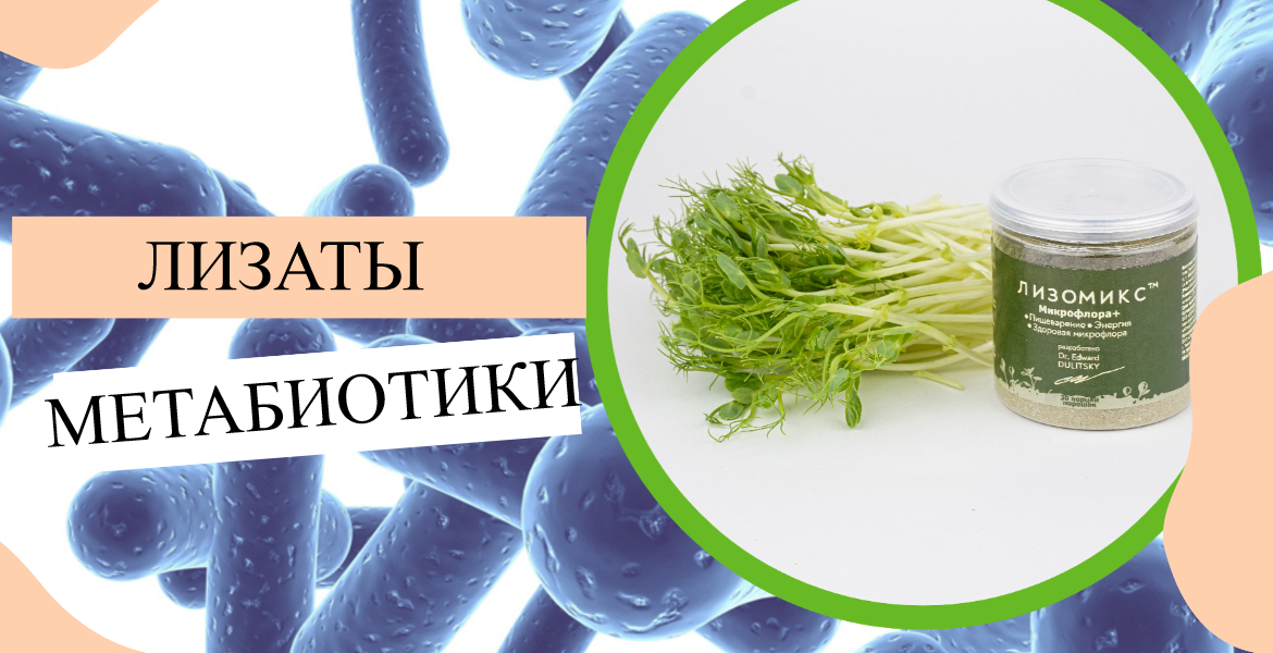 Лизаты — готовый строительный материал для вашей микрофлоры